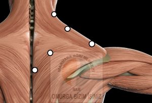 fibromiyalji tedavisi